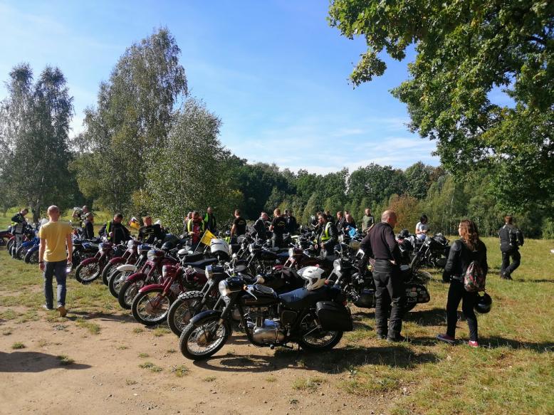 dzikowisko dzikowisko