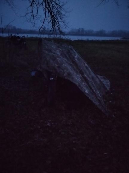 tarp tarp