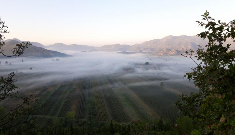 Albania Mirasia