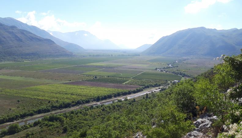 Albania Mirasia