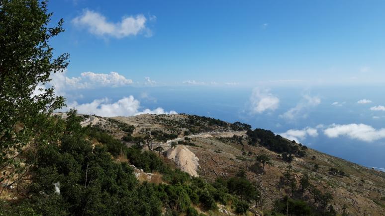 Albania Mirasia